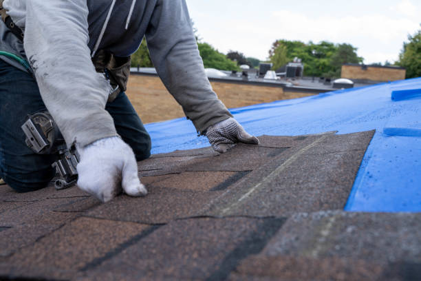 Best Roof Maintenance Services  in Mackinaw, IL