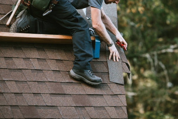 Best Roof Repair Services  in Mackinaw, IL
